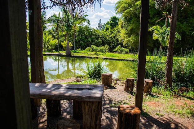 Een prachtig uitzicht op de botanische tuin in Brasilia, Brazilië