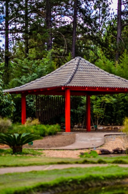 Een prachtig uitzicht op de botanische tuin in Brasilia, Brazilië