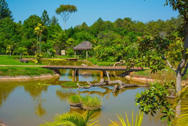 Een prachtig uitzicht op de botanische tuin in Brasilia, Brazilië