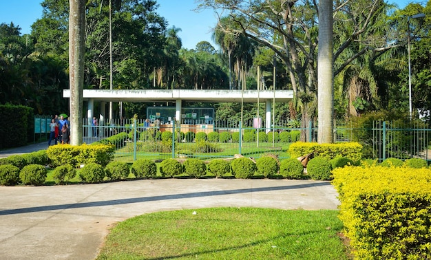 Een prachtig uitzicht op de botanische tuin in Sao Paulo, Brazilië