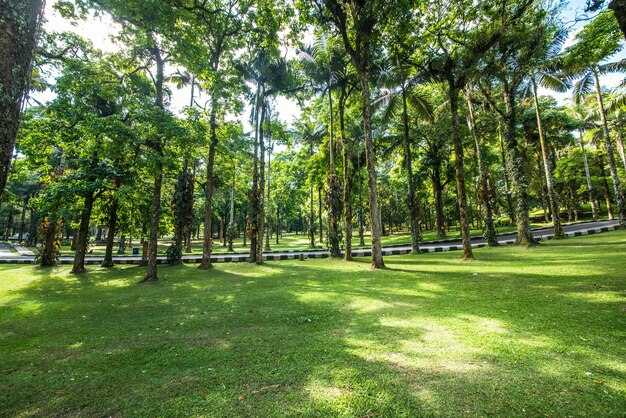 Een prachtig uitzicht op de botanische tuin op Bali, Indonesië