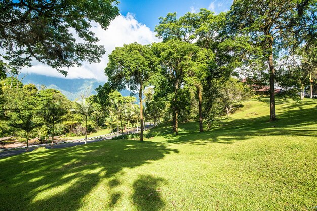 Een prachtig uitzicht op de botanische tuin op Bali, Indonesië