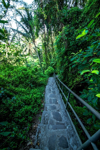 Een prachtig uitzicht op de Gunung Kawi-tempel op Bali, Indonesië?