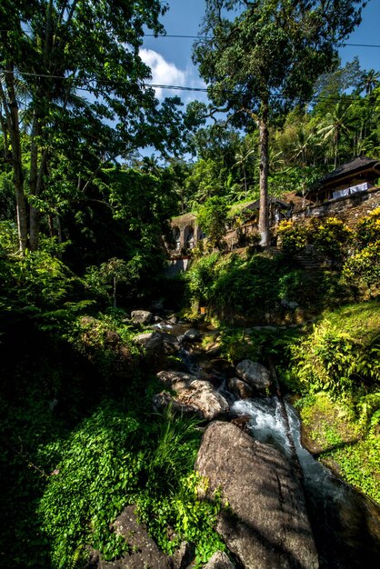 Een prachtig uitzicht op de Gunung Kawi-tempel op Bali, Indonesië?