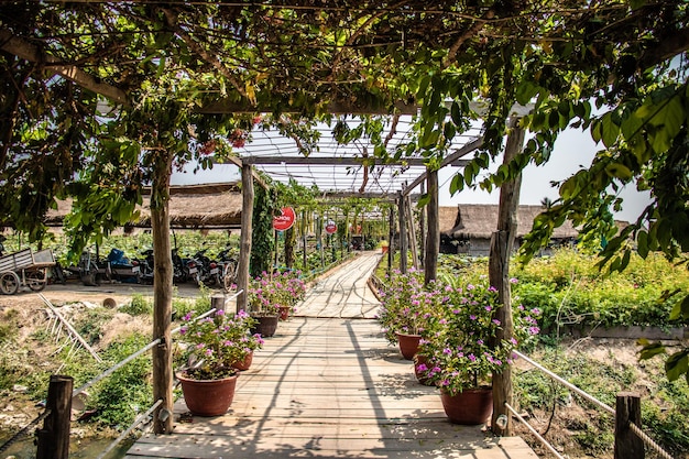 Een prachtig uitzicht op de Lotus Flower Farm in Siem Reap, Cambodja