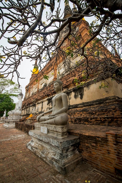 Foto een prachtig uitzicht op de tempel wat yai chai mongkhol in ayutthaya thailand