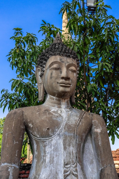 Een prachtig uitzicht op de tempel Wat Yai Chaimongkhol in Ayutthaya Thailand
