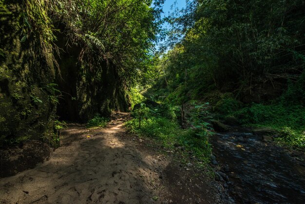 Een prachtig uitzicht op de trail-locatie in Bali, Indonesië