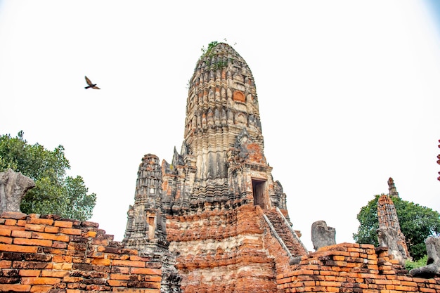 Een prachtig uitzicht op de Wat Chaiwatthanaram-tempel in Ayutthaya Thailand