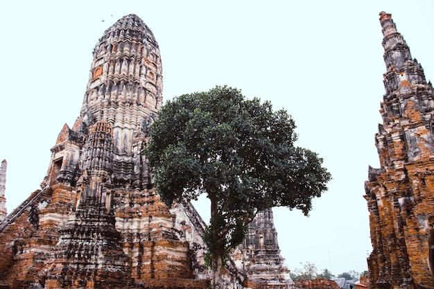 Een prachtig uitzicht op de wat chaiwatthanaram-tempel in ayutthaya thailand