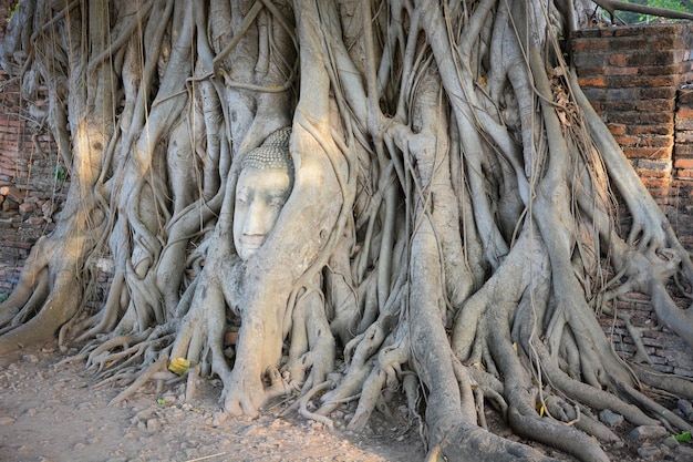 Een prachtig uitzicht op de wat mahathat-tempel in ayutthaya thailand