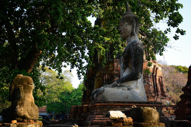 Een prachtig uitzicht op de Wat Mahathat-tempel in Ayutthaya Thailand