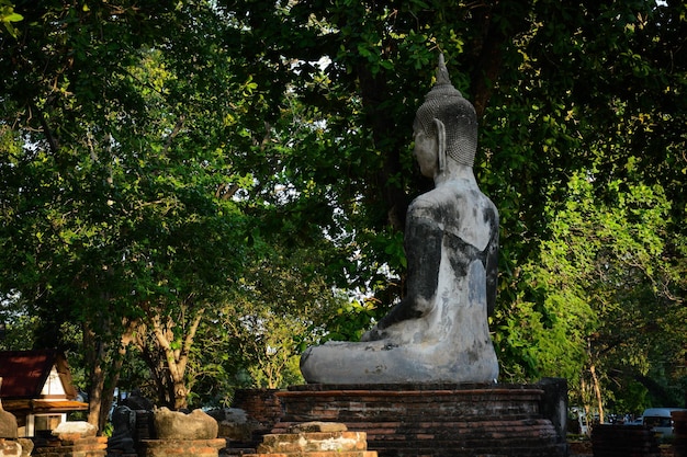 Een prachtig uitzicht op de Wat Mahathat-tempel in Ayutthaya Thailand