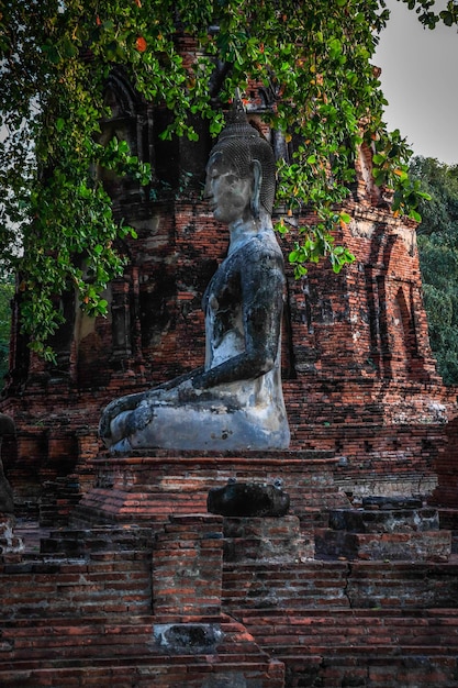 Een prachtig uitzicht op de Wat Mahathat-tempel in Ayutthaya Thailand