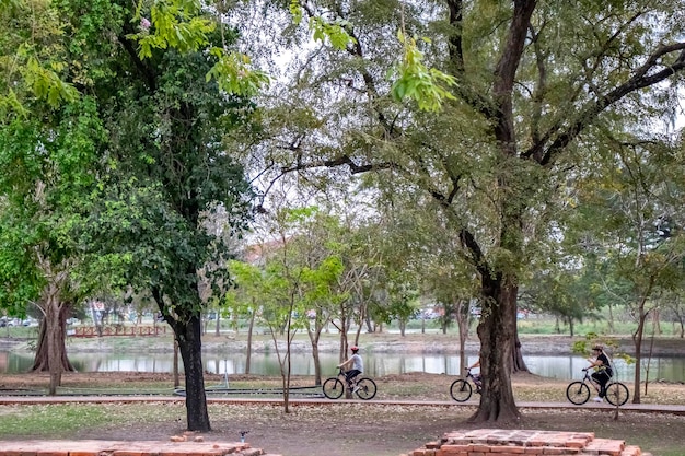 Een prachtig uitzicht op de Wat Mahathat-tempel in Ayutthaya Thailand