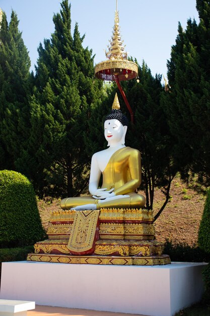 Een prachtig uitzicht op de Wat Saeng Kaeo-tempel in Chiang Rai Thailand