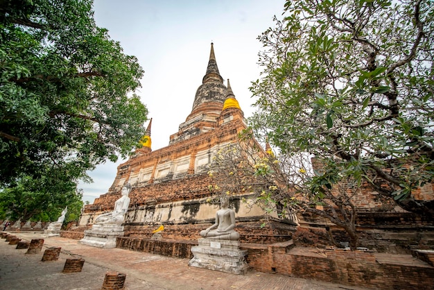 Een prachtig uitzicht op de wat yai chai mongkhon-tempel in ayutthaya thailand