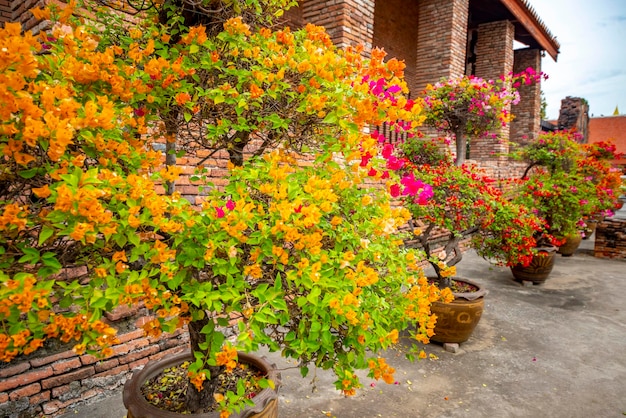 Een prachtig uitzicht op de Wat Yai Chai Mongkhon-tempel in Ayutthaya Thailand