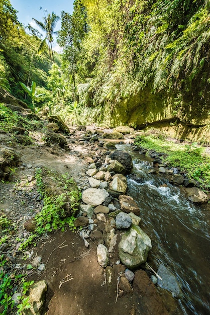 Een prachtig uitzicht op de waterval in Bali, Indonesië