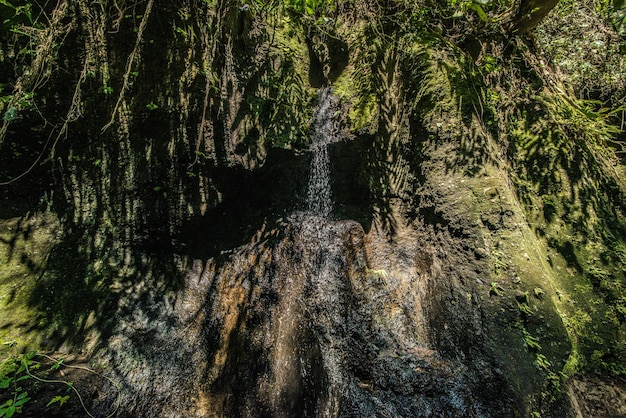 Een prachtig uitzicht op de waterval in Bali, Indonesië