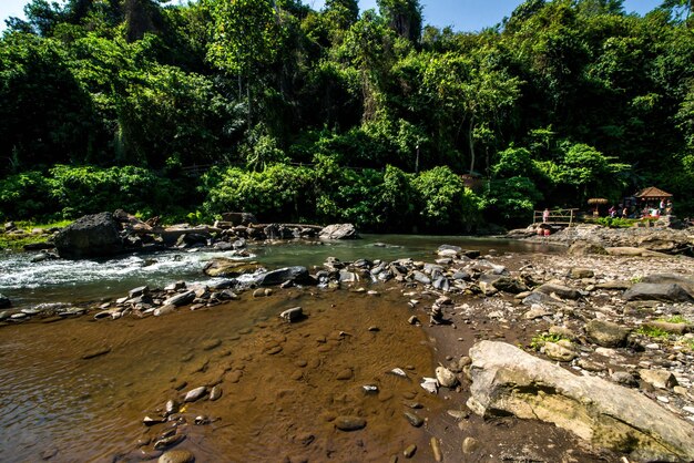 Een prachtig uitzicht op de waterval in Bali, Indonesië