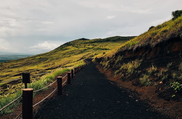 Een prachtig uitzicht op een landschap dat langs de weg door het groene veld loopt