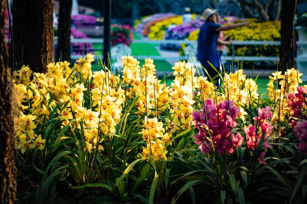 Een prachtig uitzicht op Flower Festival in Chiang Rai Thailand