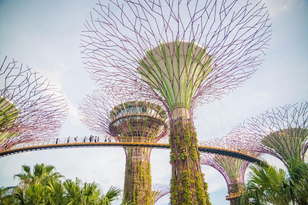 Een prachtig uitzicht op Gardens by the Bay in Singapore