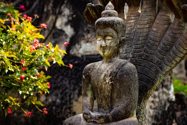 Een prachtig uitzicht op het Boeddhapark in Vientiane Laos