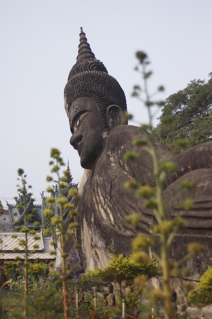 Een prachtig uitzicht op het boeddhapark in vientiane laos