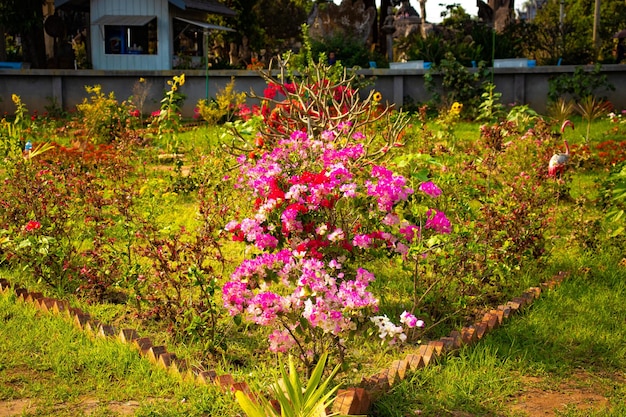 Een prachtig uitzicht op het Boeddhapark in Vientiane Laos