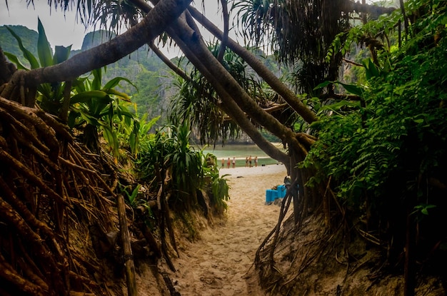 Een prachtig uitzicht op het eiland Phi Phi in Thailand