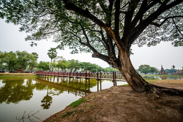 Een prachtig uitzicht op het historische park Sukhothai in Thailand