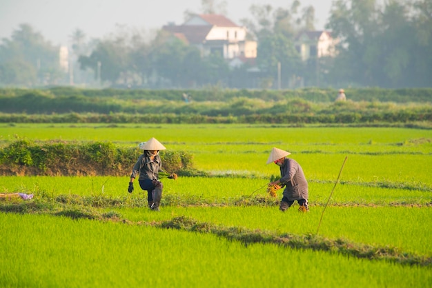 Een prachtig uitzicht op Hoi An in Vietnam