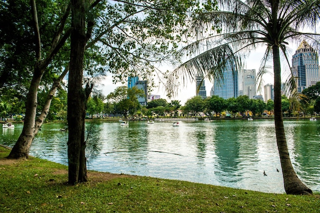 Een prachtig uitzicht op Lumpini Park in Bangkok Thailand