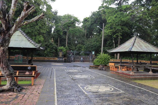 Een prachtig uitzicht op monkey forest in bali indonesië