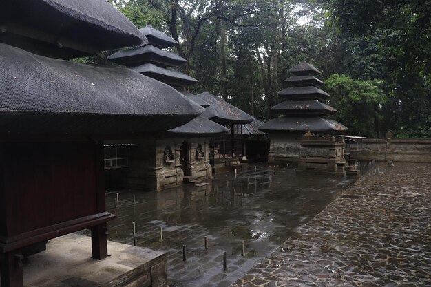 Een prachtig uitzicht op Monkey Forest in Bali Indonesië