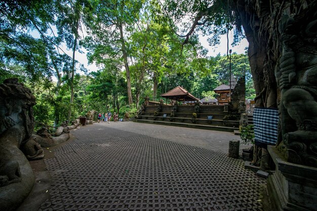 Een prachtig uitzicht op Monkey Forest in Ubud Bali, Indonesië