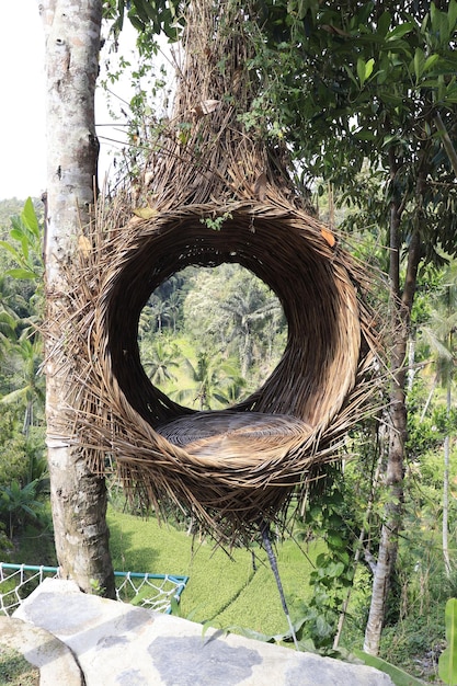 Een prachtig uitzicht op Tegalalang Rice Field Place in Bali, Indonesië