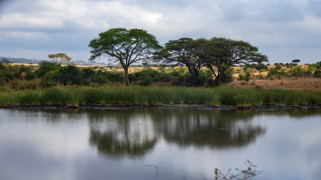 Een prachtig uitzicht vanaf een van de kleine meren in het nationale park van Nairobi.