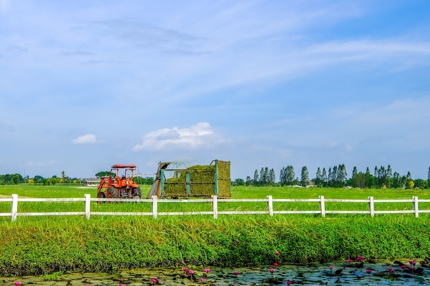 Foto een prachtig zicht op de landbouw in een groot groen veld.