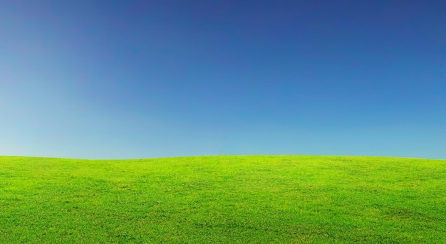 Een prachtige en perfecte groene weide met een blauwe hemel.