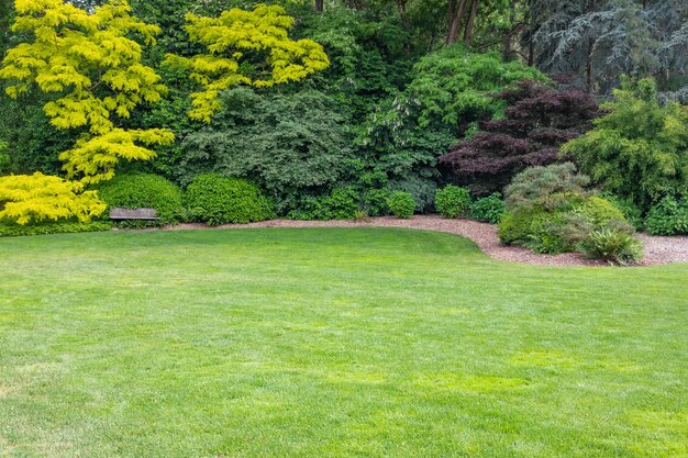 Foto een prachtige groene tuin met een houten bank