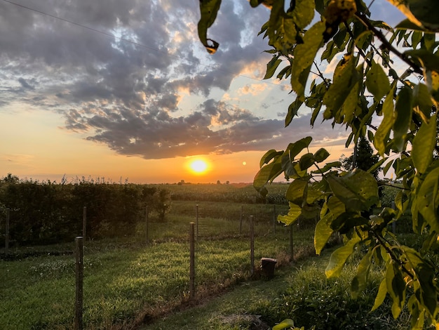 Een prachtige oranje zonsondergang op het platteland