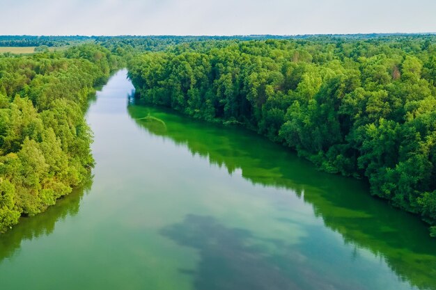 Een prachtige rivier met kristalhelder water en weelderige bomen die een schilderachtige oase creëren