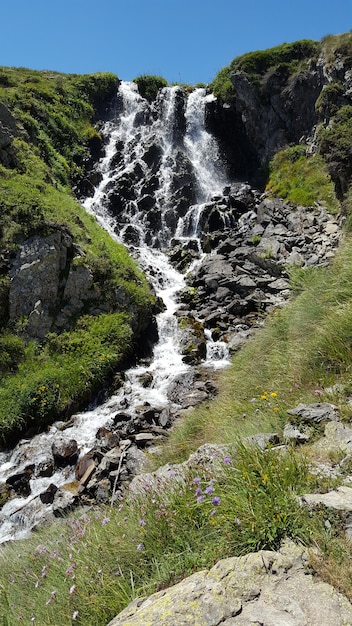 Een prachtige waterval in de bergen in de zomer