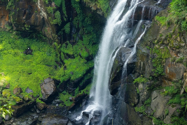 Een prachtige waterval in het bos.