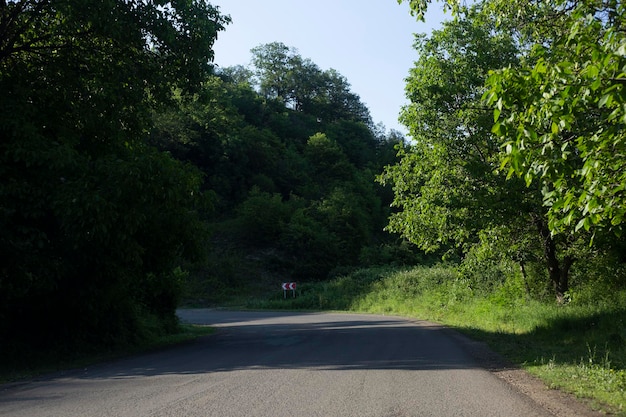 Een prachtige weg in het bos.