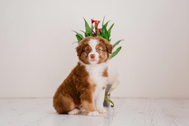 Een puppy zit voor een boeket bloemen