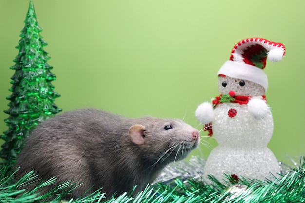 Een rat in de buurt van een speelgoed kerstboom en een sneeuwpop onder klatergoud.